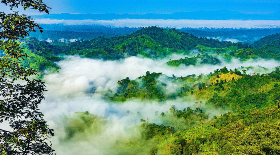 Nuestros servicios de alquiler de coches ofrecen una diversa selección de vehículos en Sylhet.